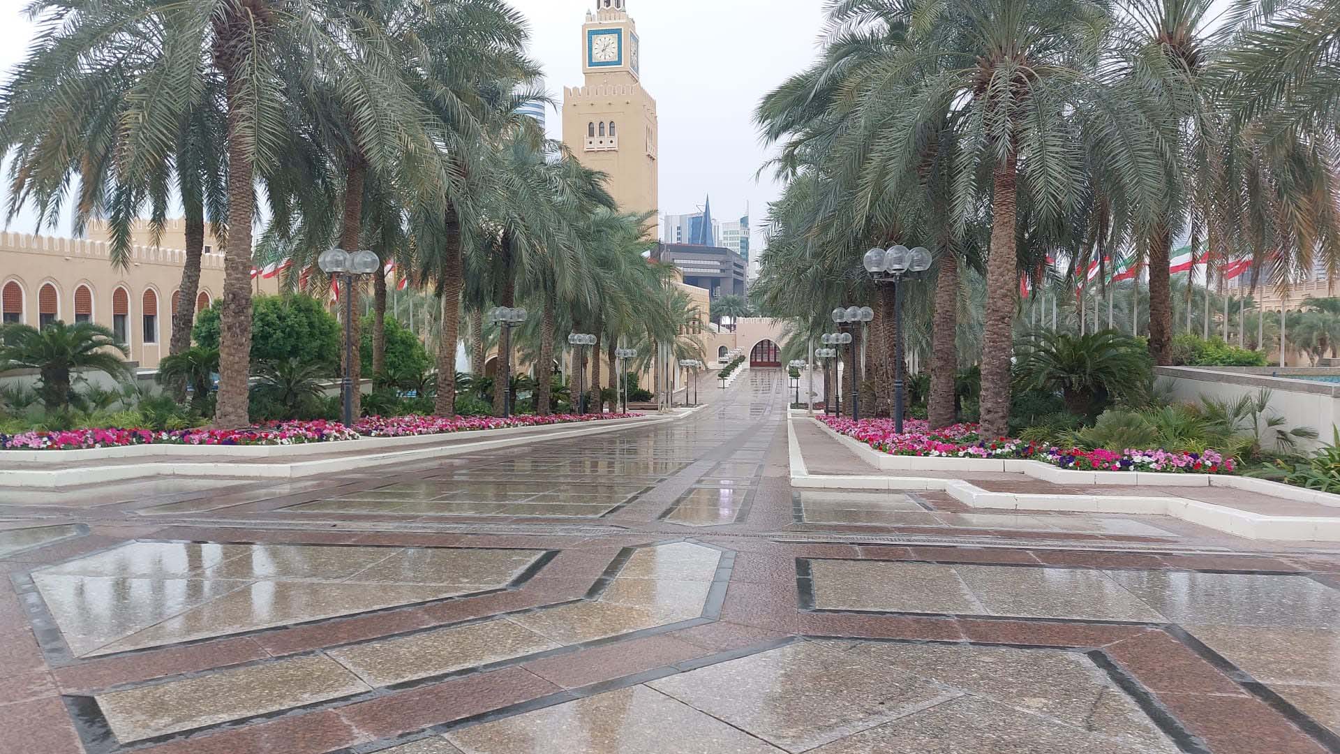 Walkway bordered by flower beds and young trees